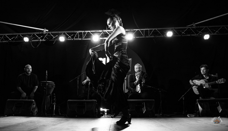 flamenco (129)